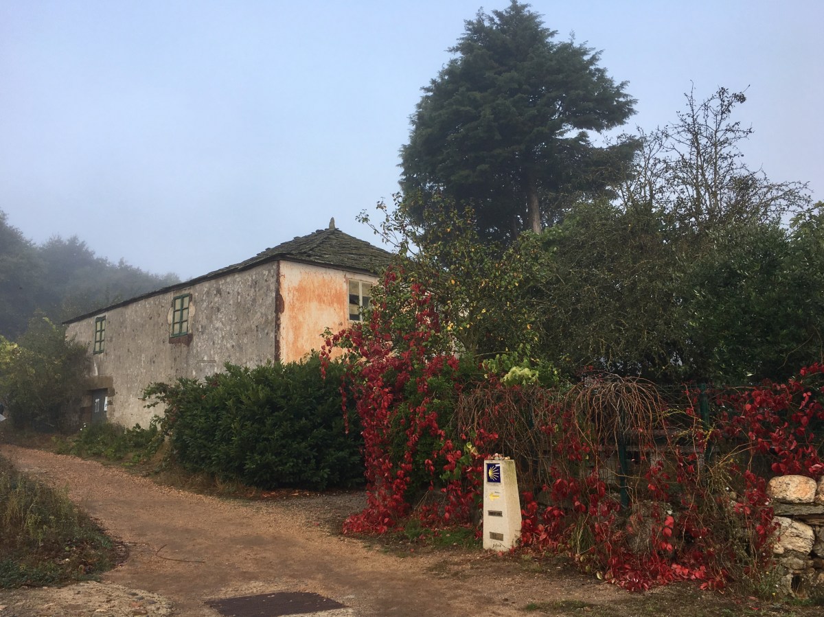 fullsizeoutput_1922c