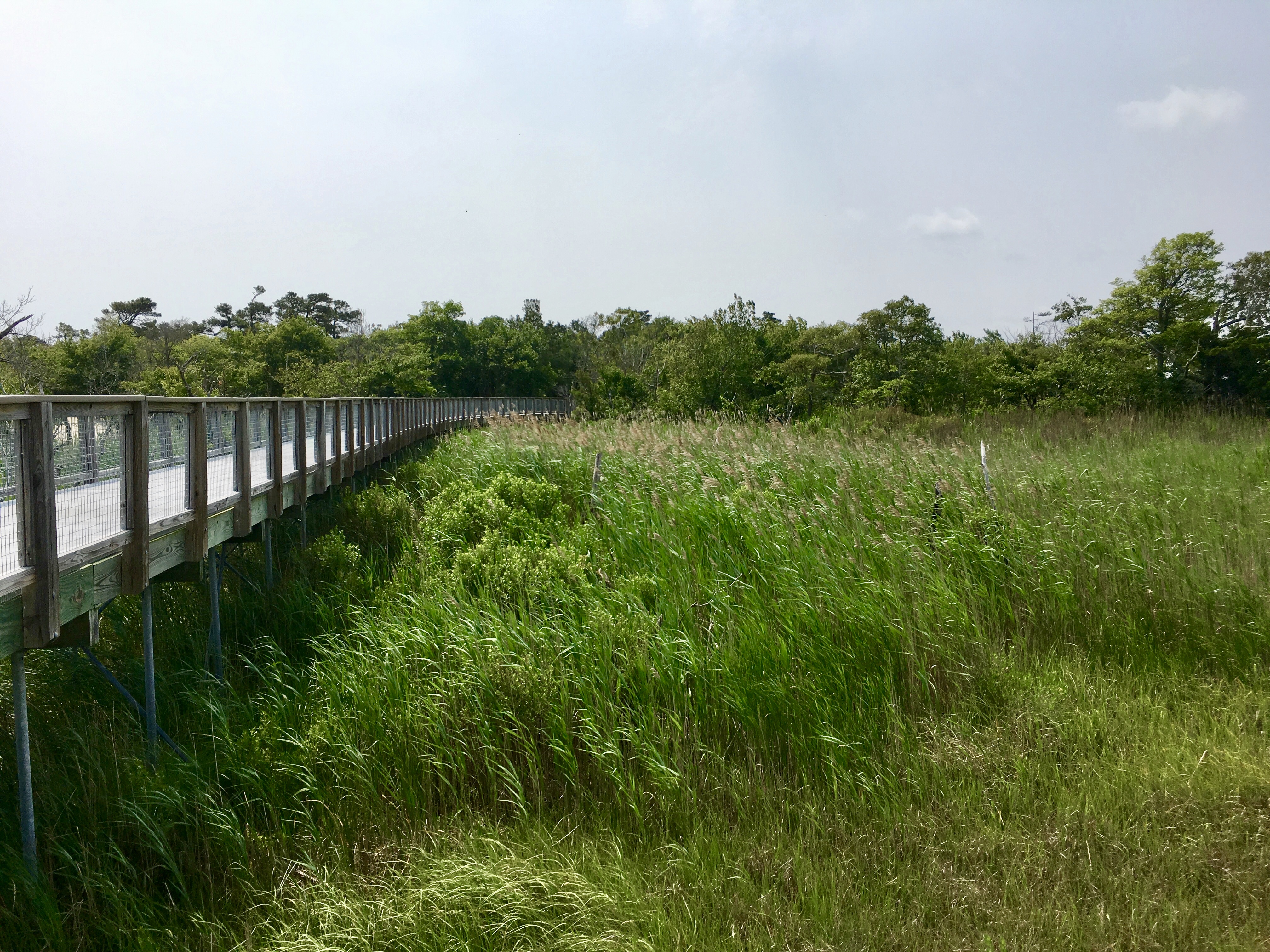 fullsizeoutput_1abec