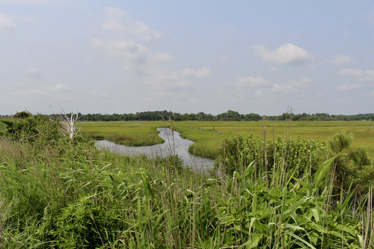 fullsizeoutput_1abfc