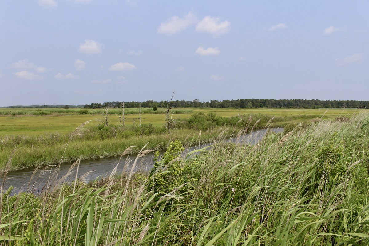 fullsizeoutput_1abfe