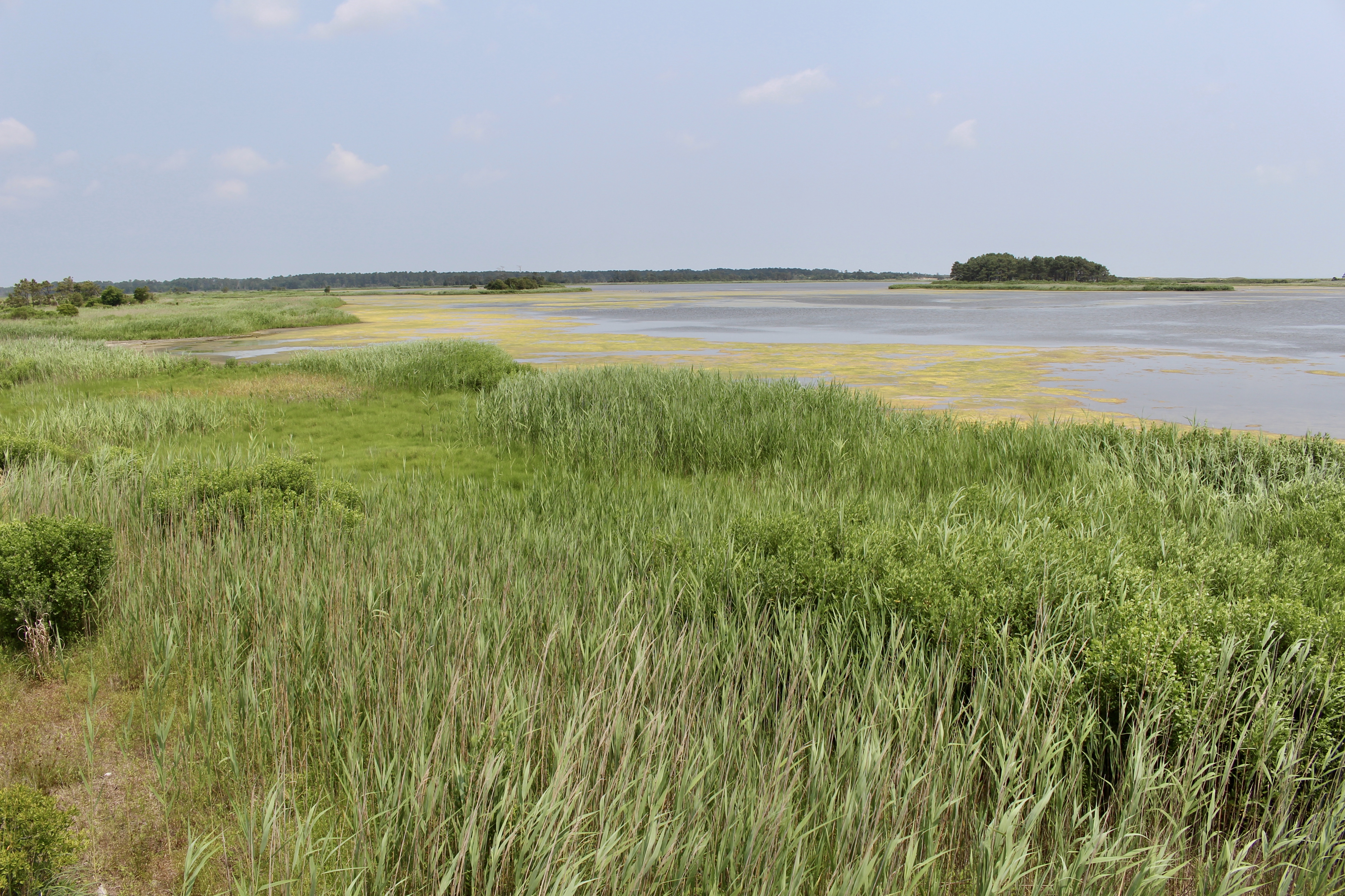 fullsizeoutput_1ac00