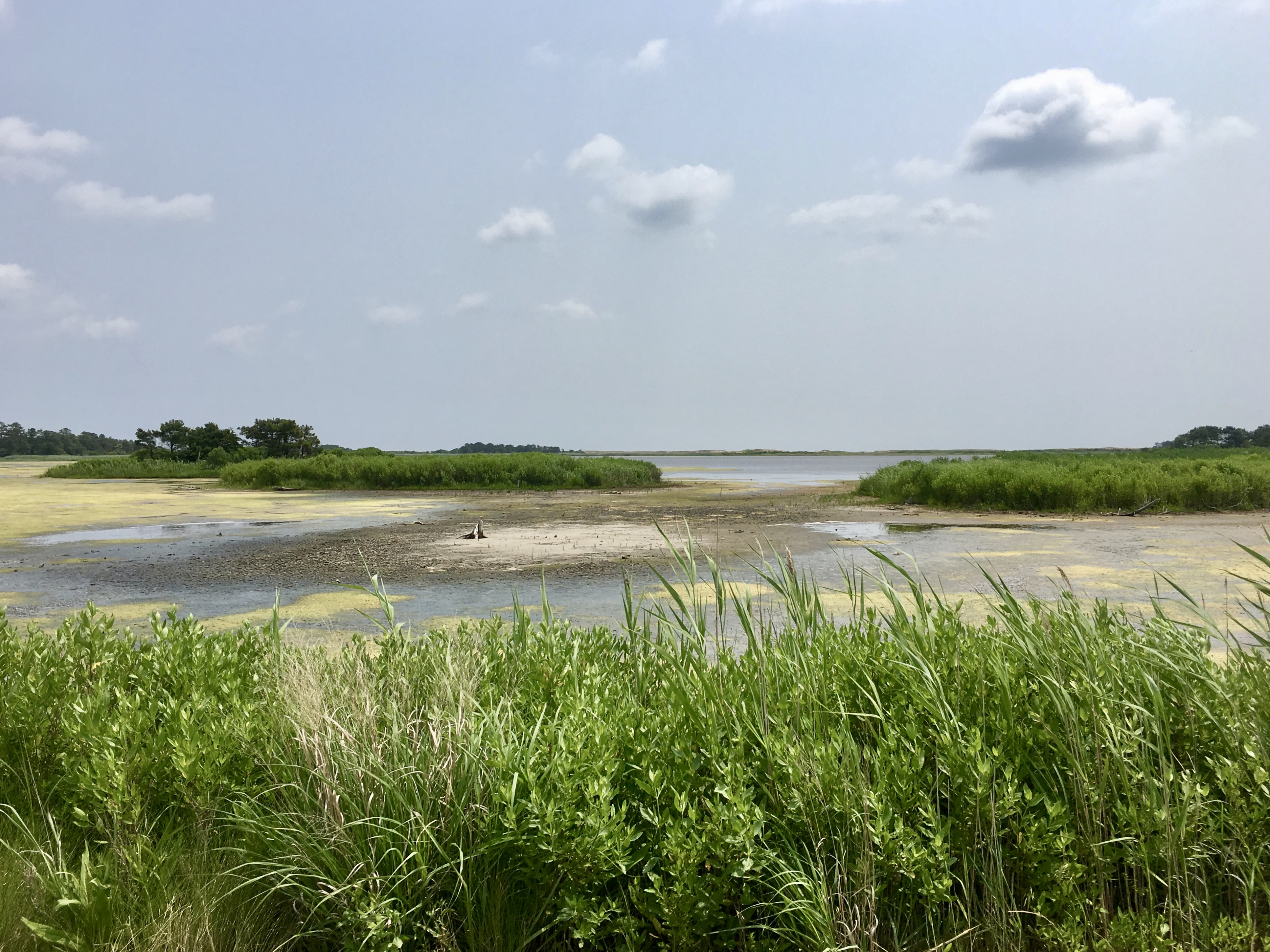 fullsizeoutput_1ac20