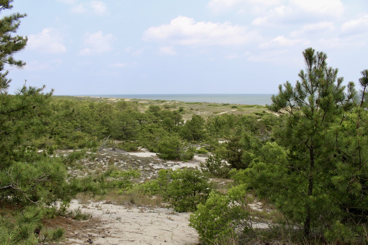 fullsizeoutput_1ac2b