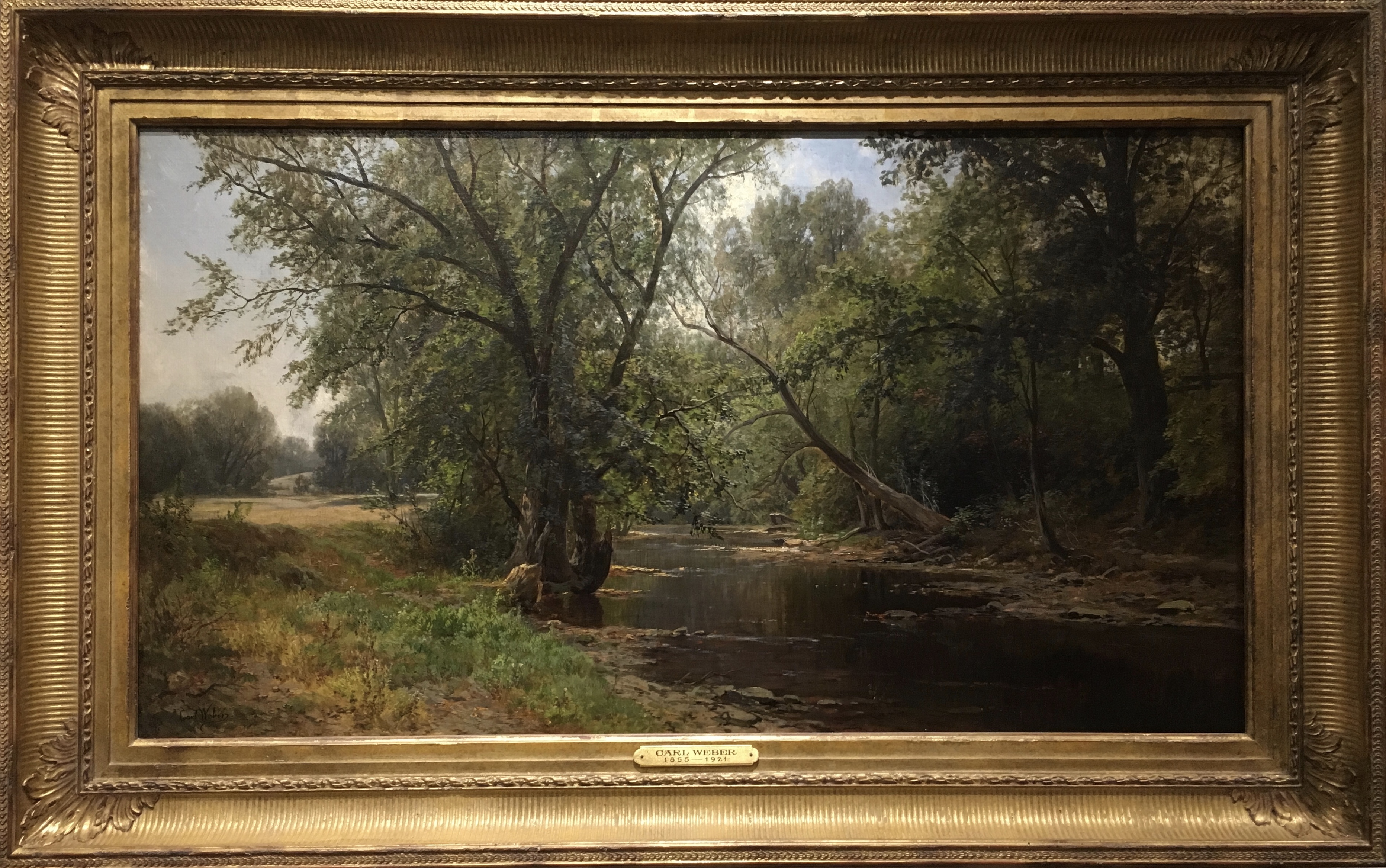 fullsizeoutput_1ac81