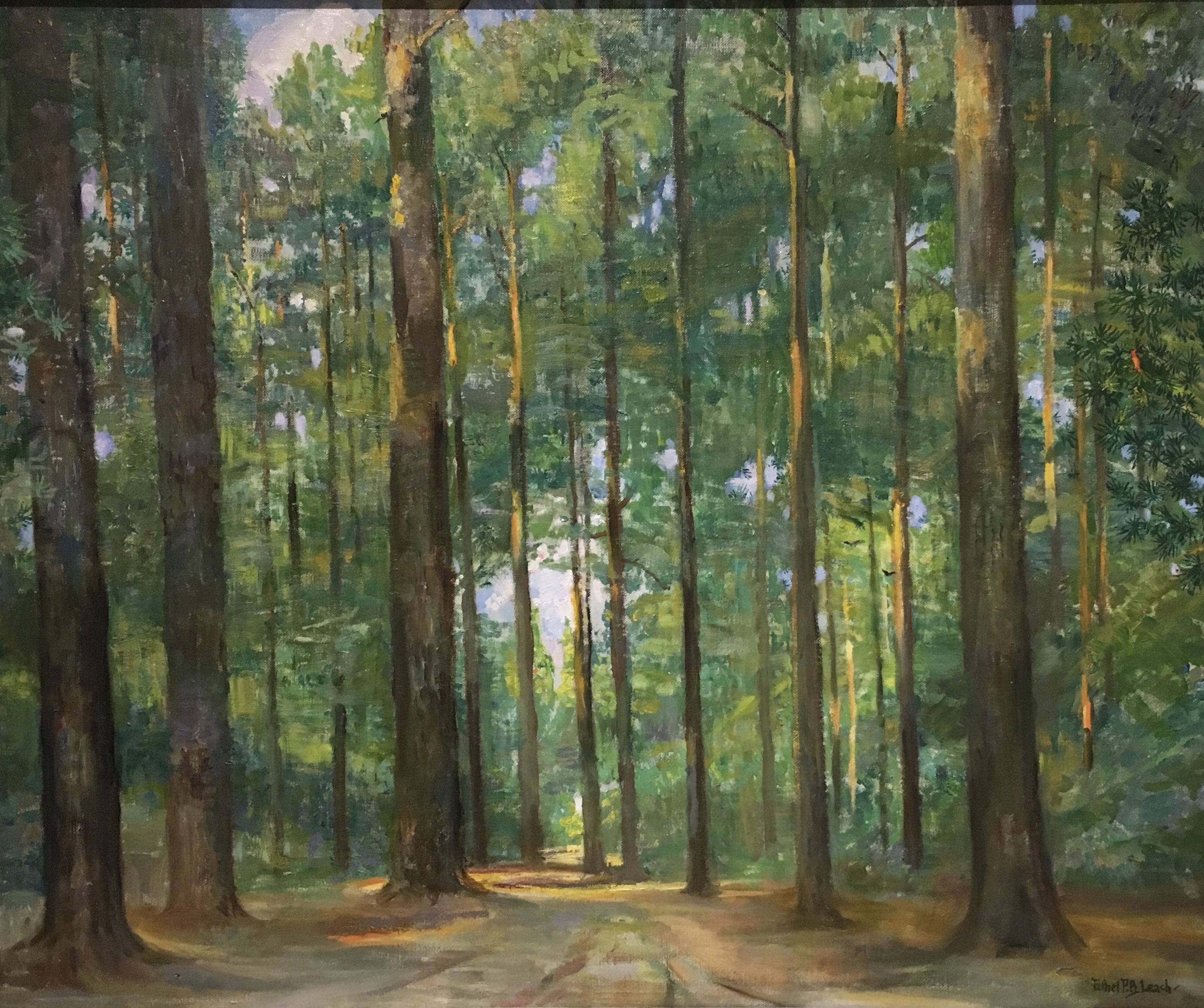 fullsizeoutput_1ac85