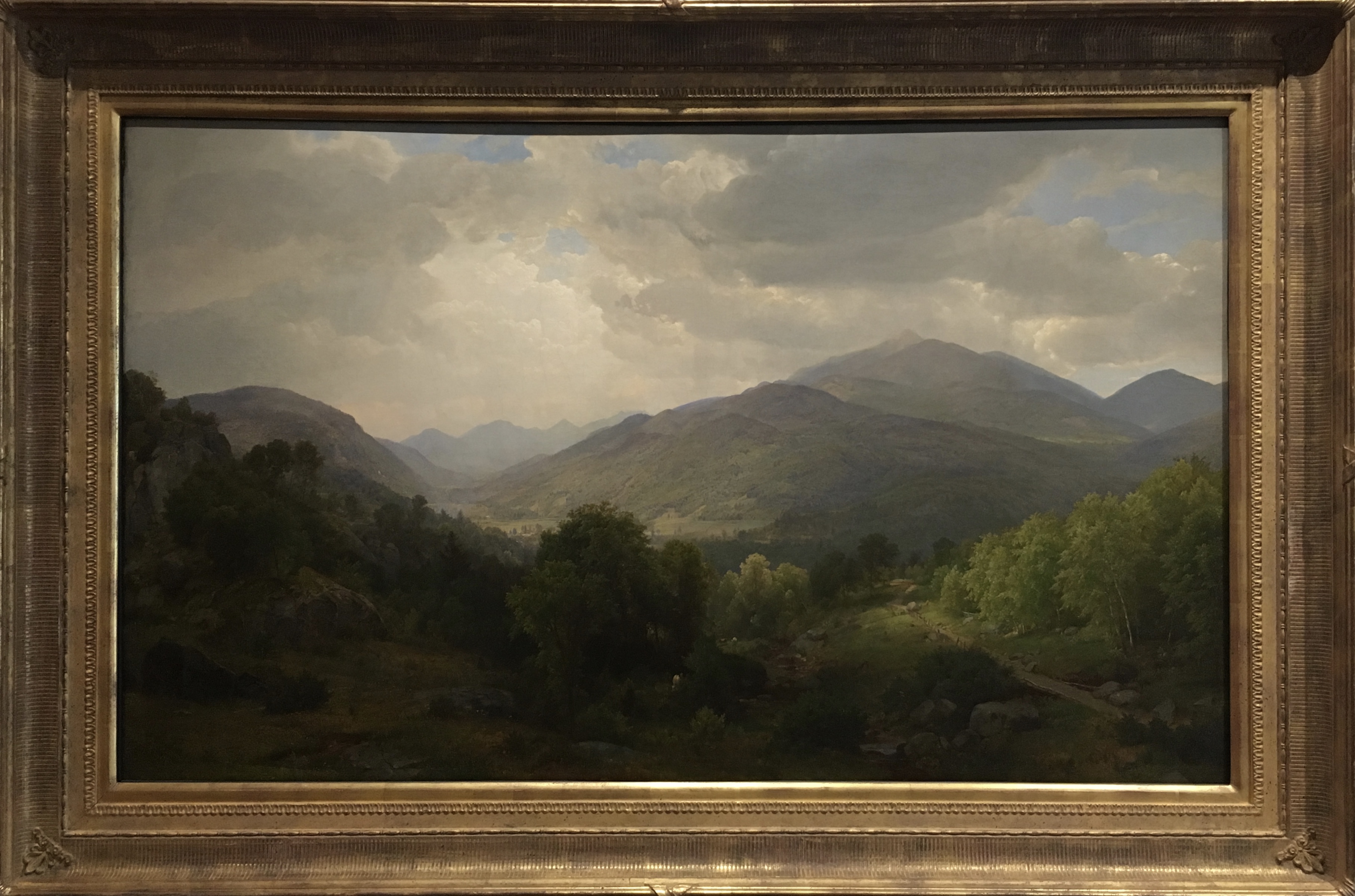 fullsizeoutput_1ac88