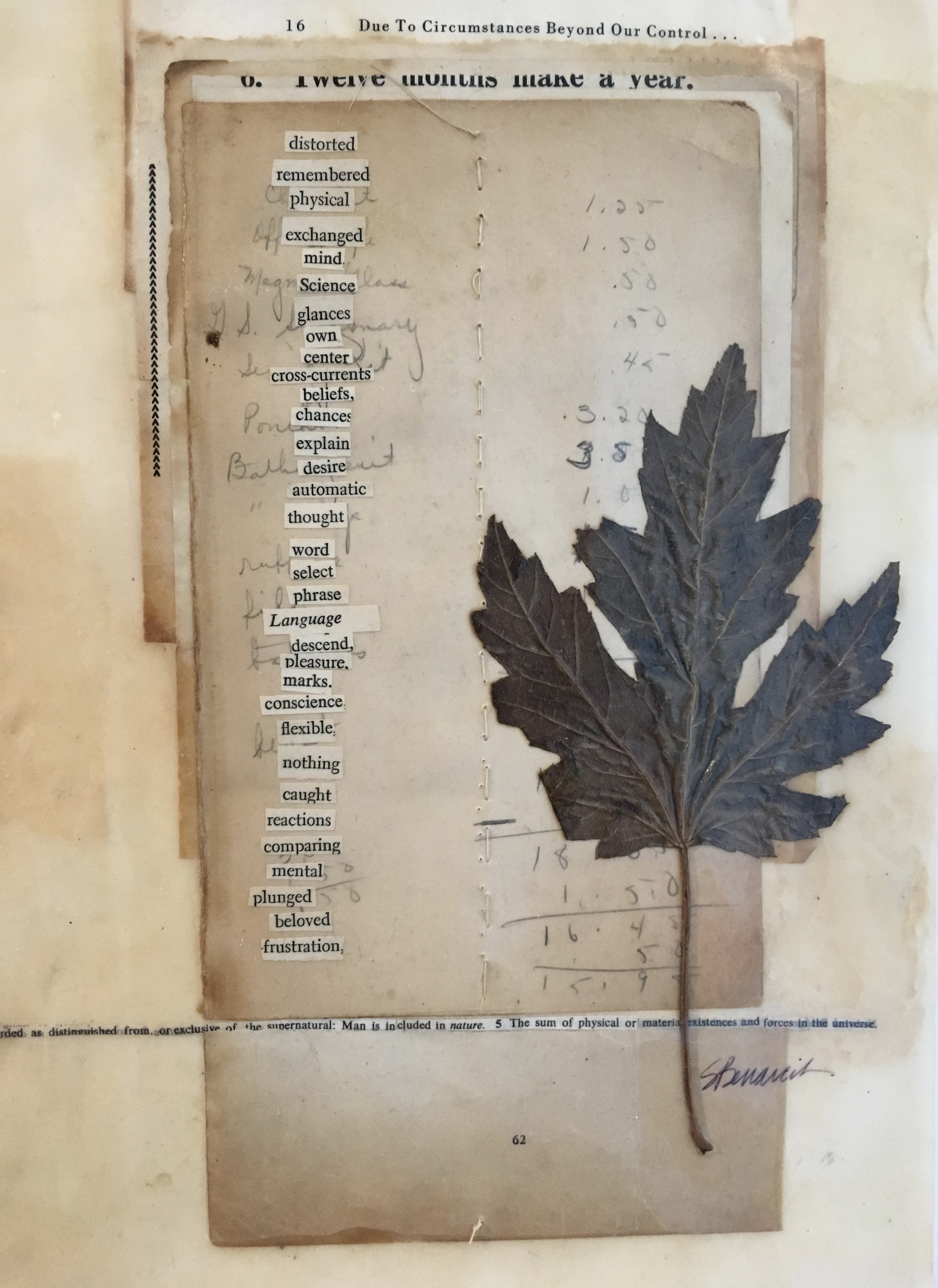 fullsizeoutput_1ac9b