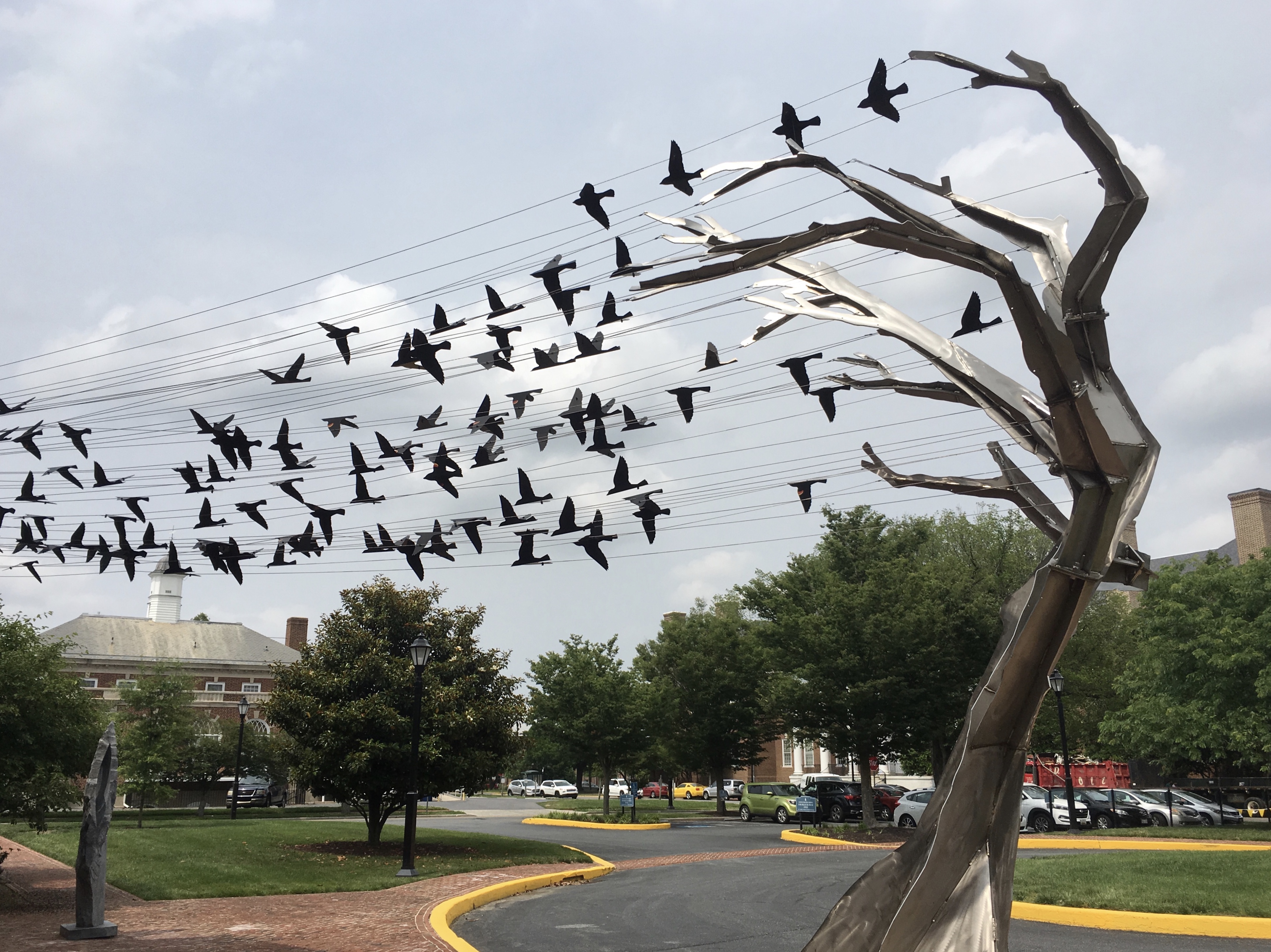 fullsizeoutput_1aca2