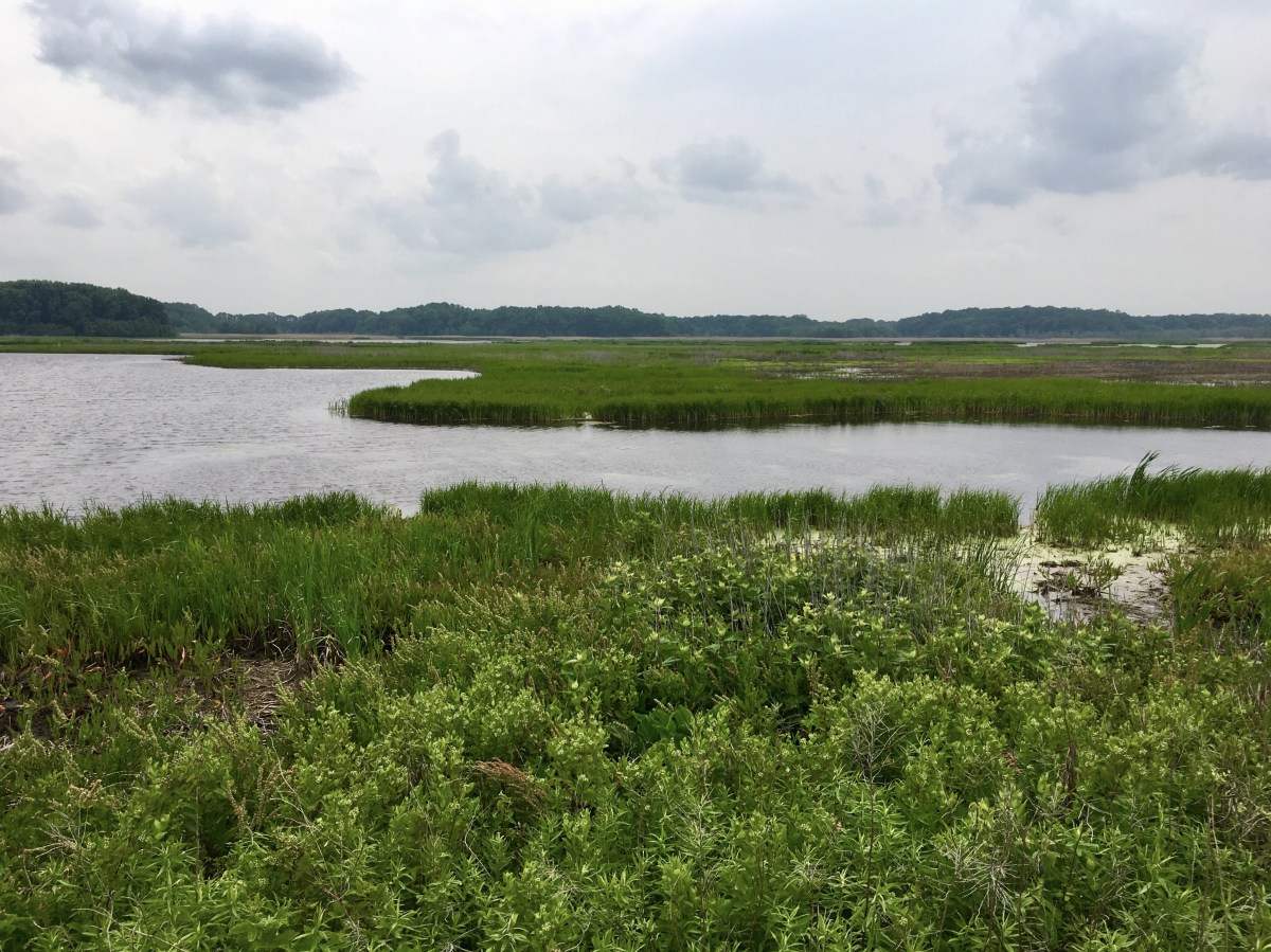 fullsizeoutput_1acb9