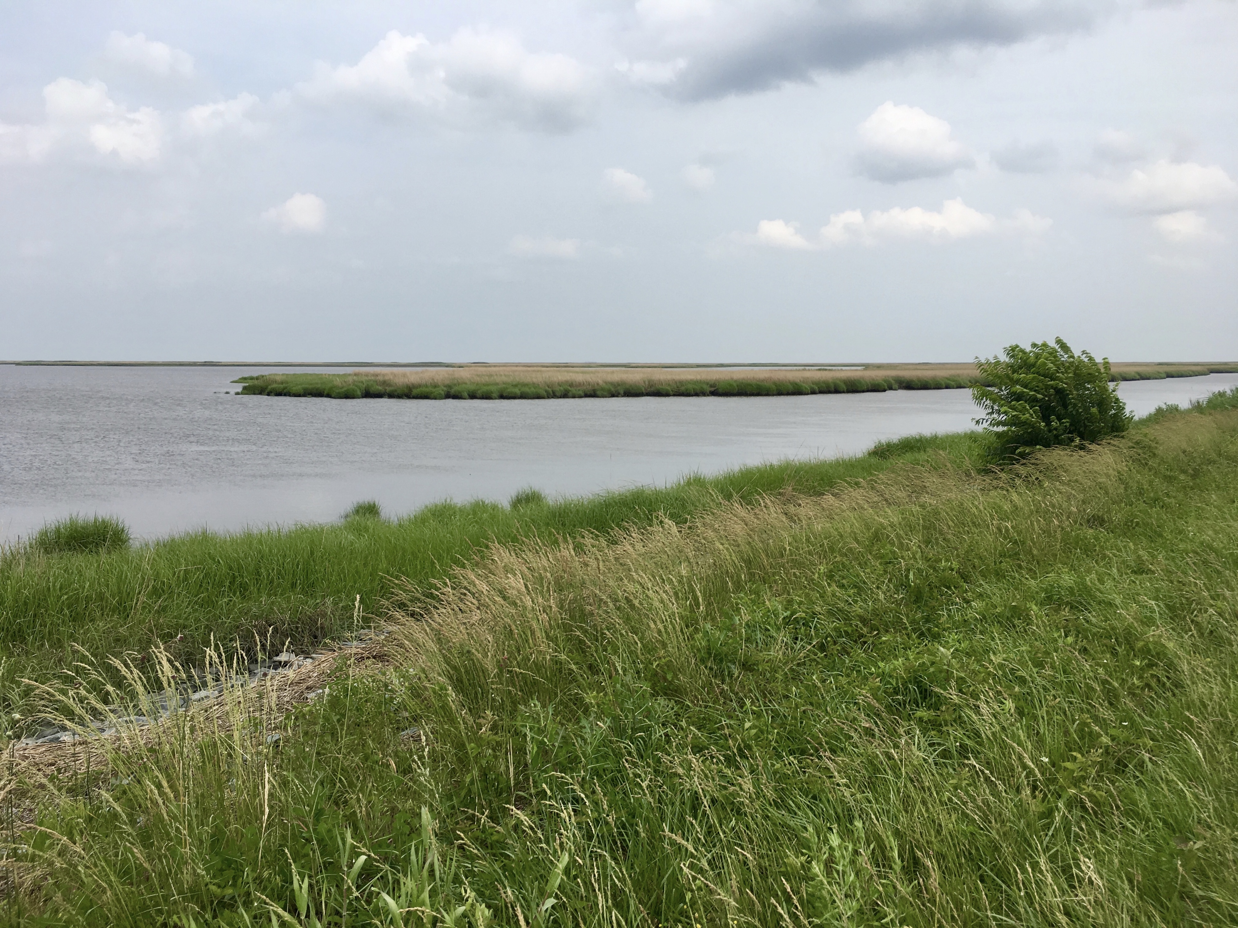 fullsizeoutput_1acc1