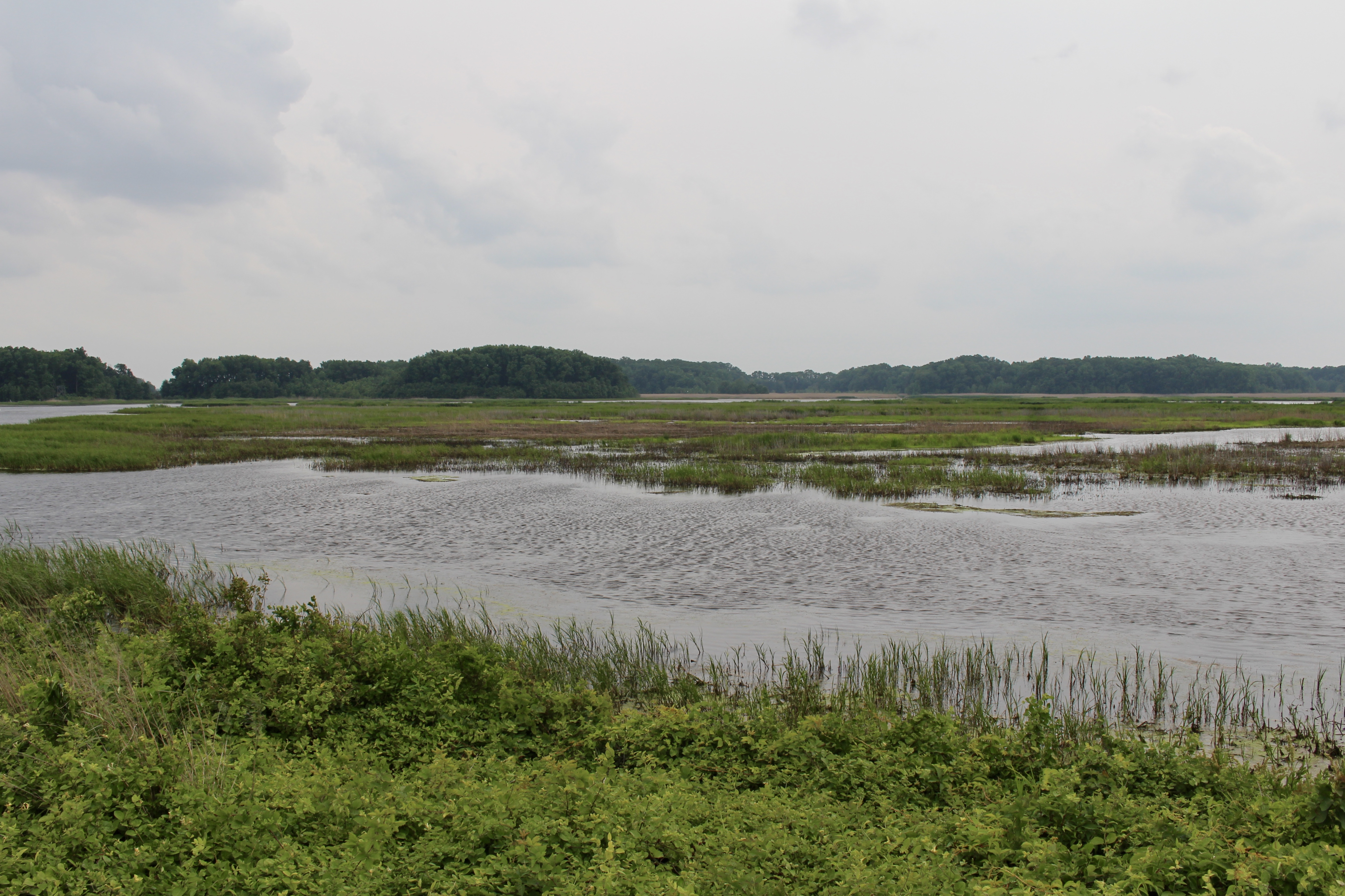 fullsizeoutput_1acc4