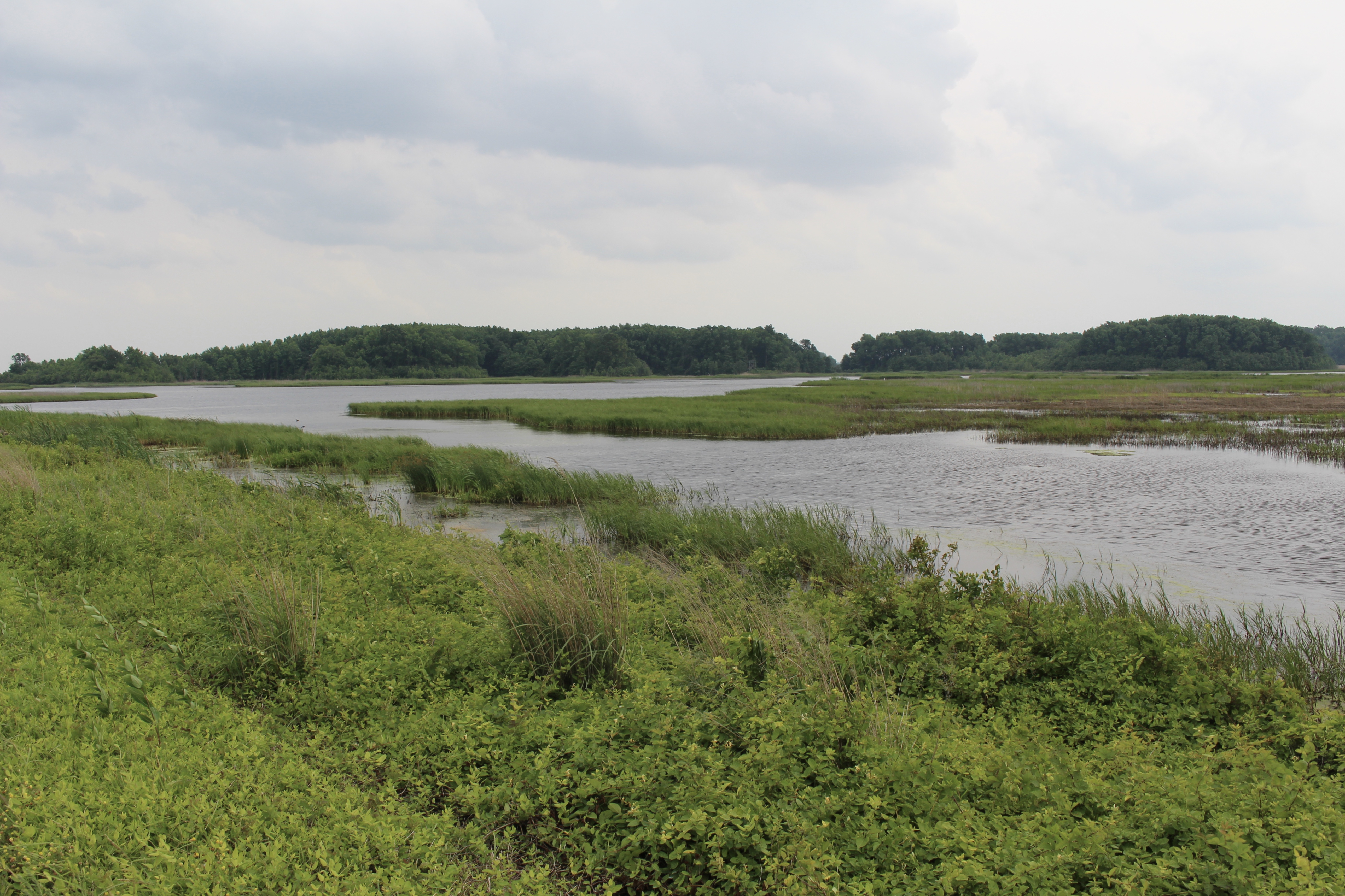 fullsizeoutput_1acc6