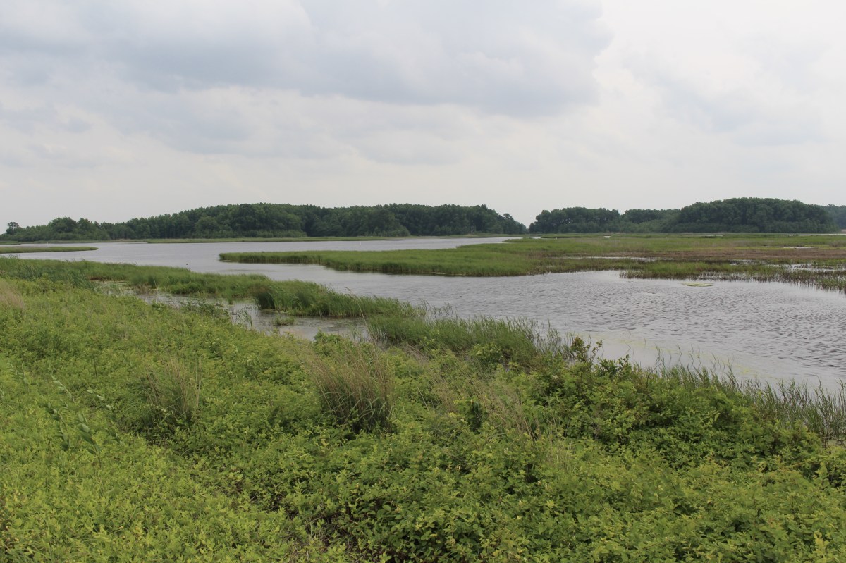 fullsizeoutput_1acc6