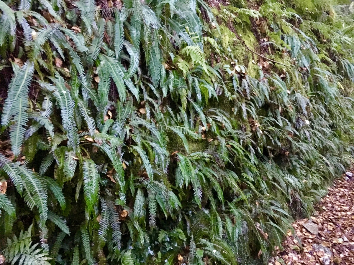 fullsizeoutput_1aefb