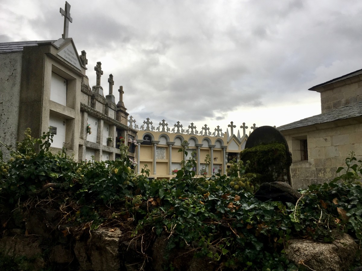 fullsizeoutput_1af97