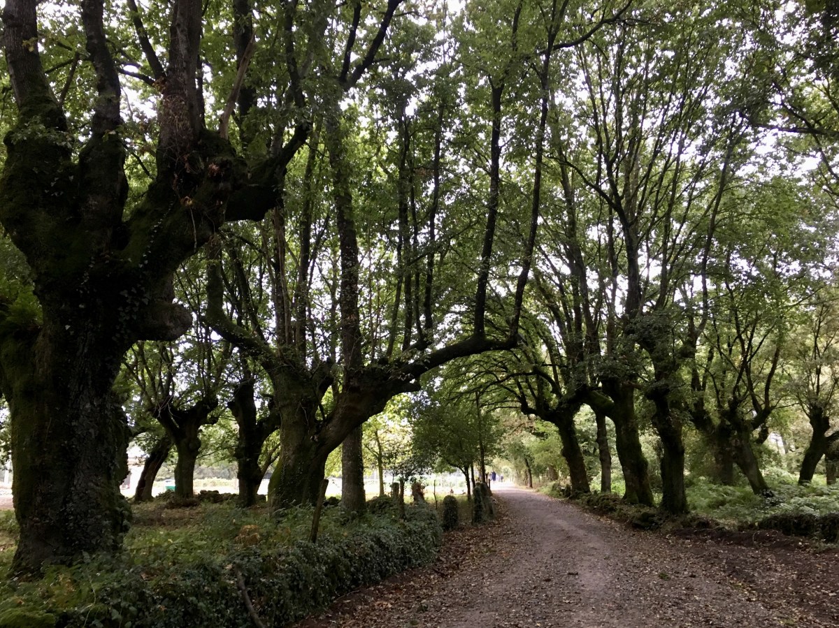 fullsizeoutput_1af9d