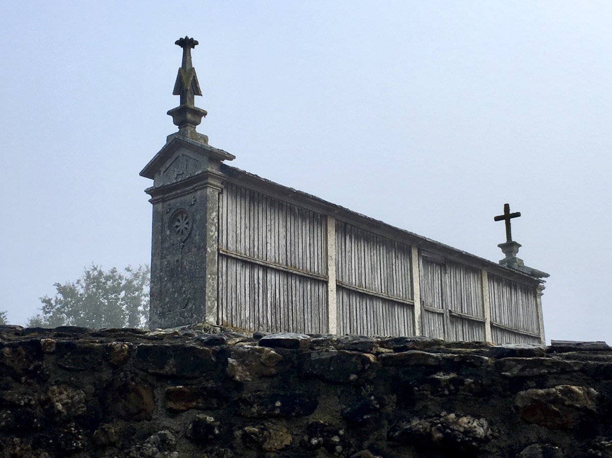 fullsizeoutput_1b0b0