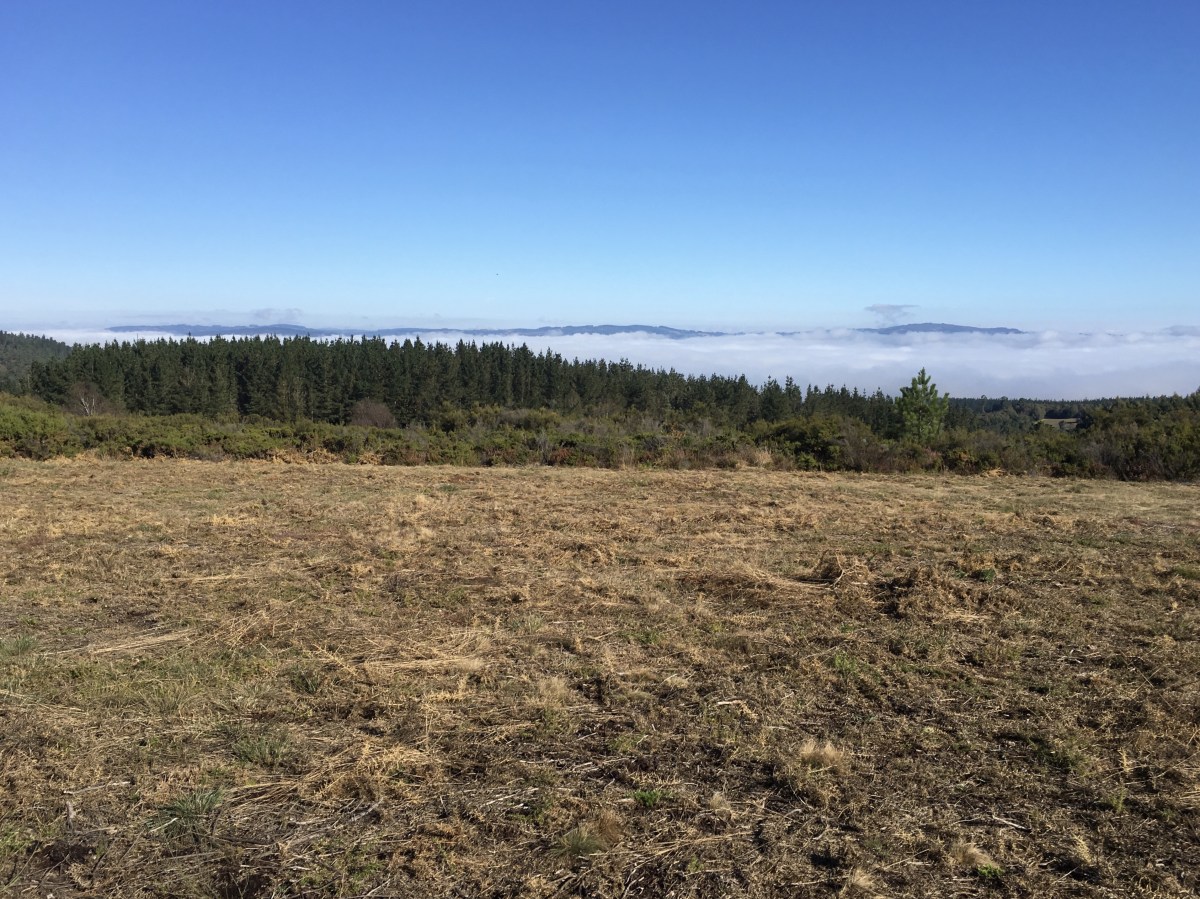 fullsizeoutput_1b0be