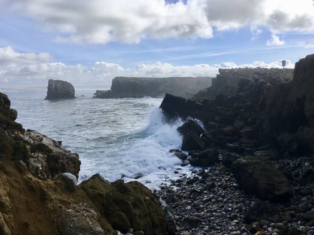 fullsizeoutput_1b1fa