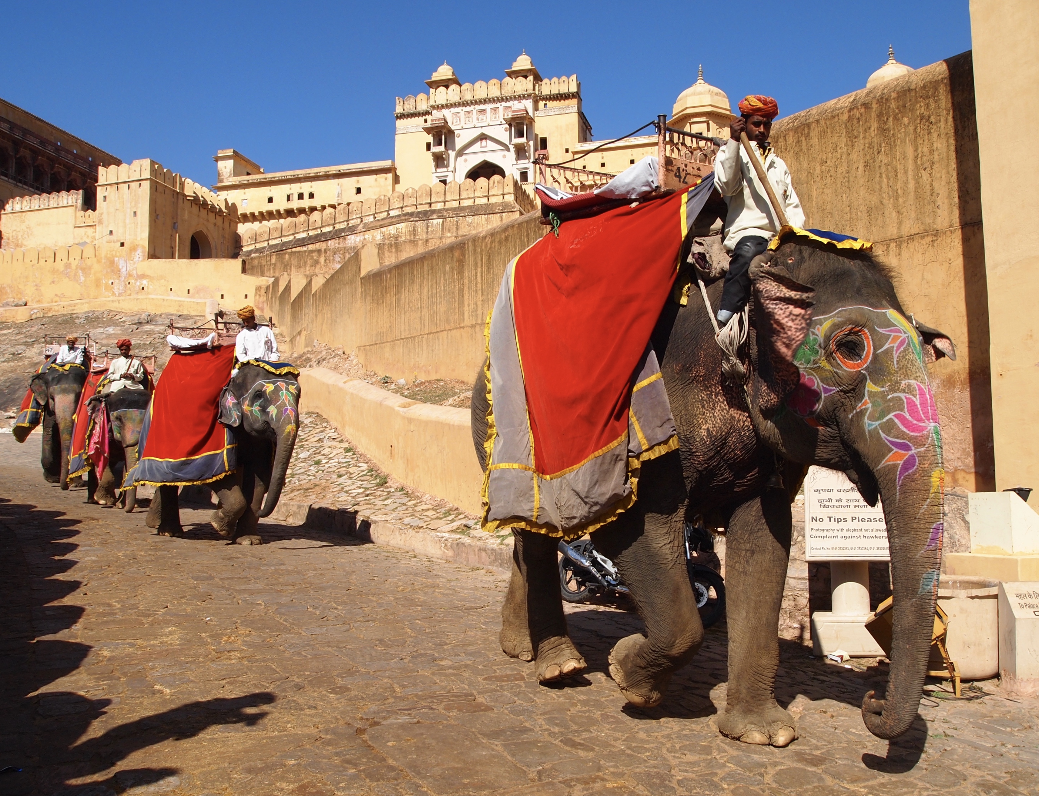 fullsizeoutput_1b202