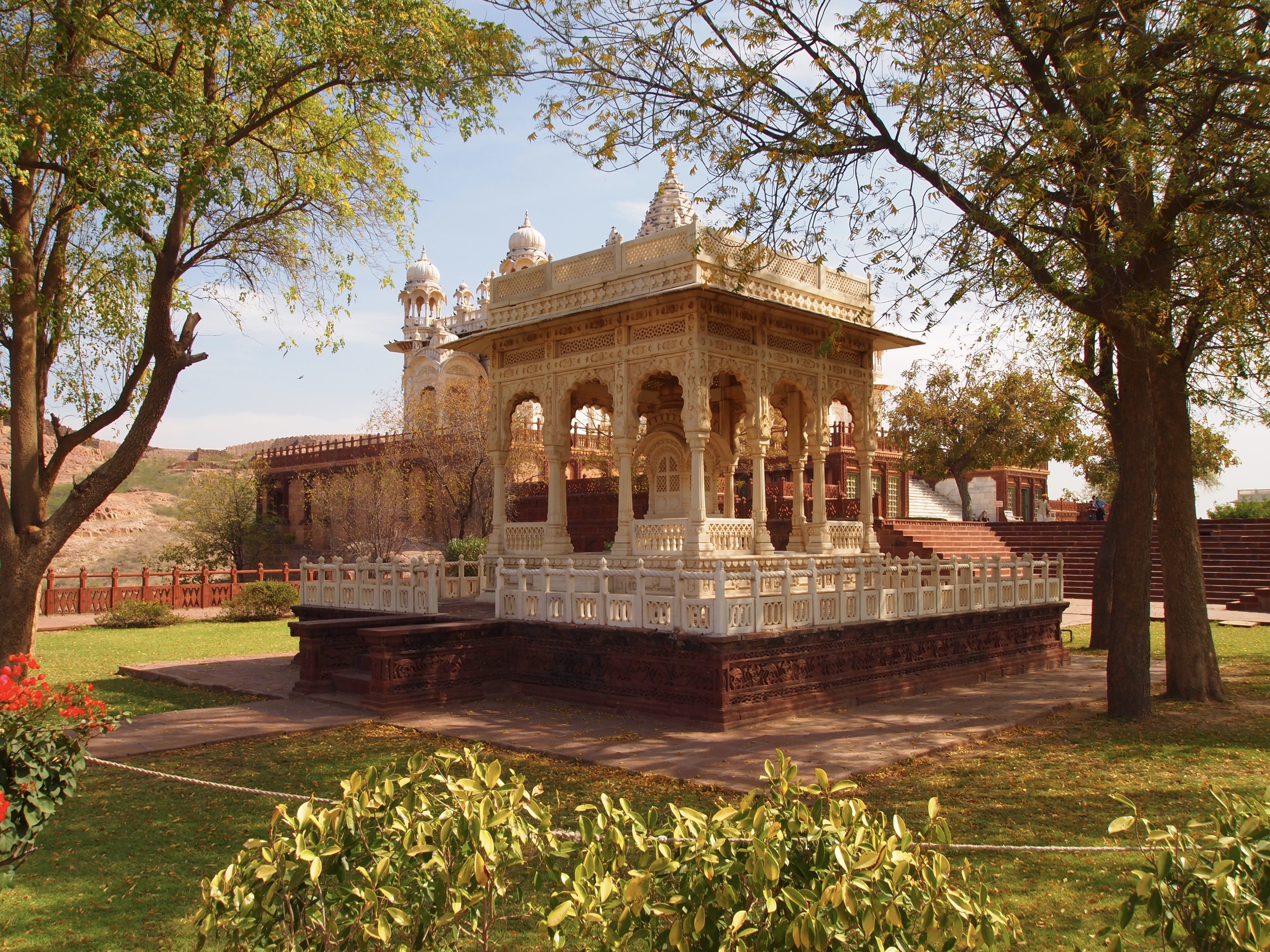 fullsizeoutput_1b204