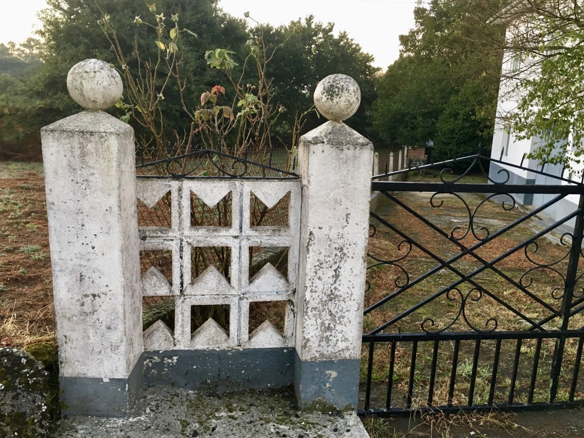 fullsizeoutput_1b21e