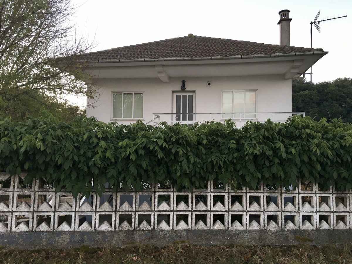 fullsizeoutput_1b21f