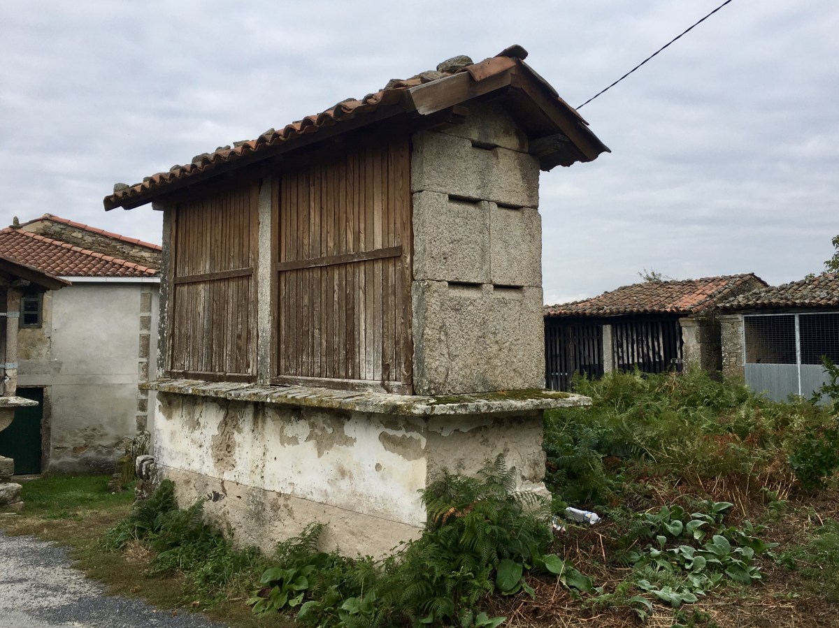 fullsizeoutput_1b226