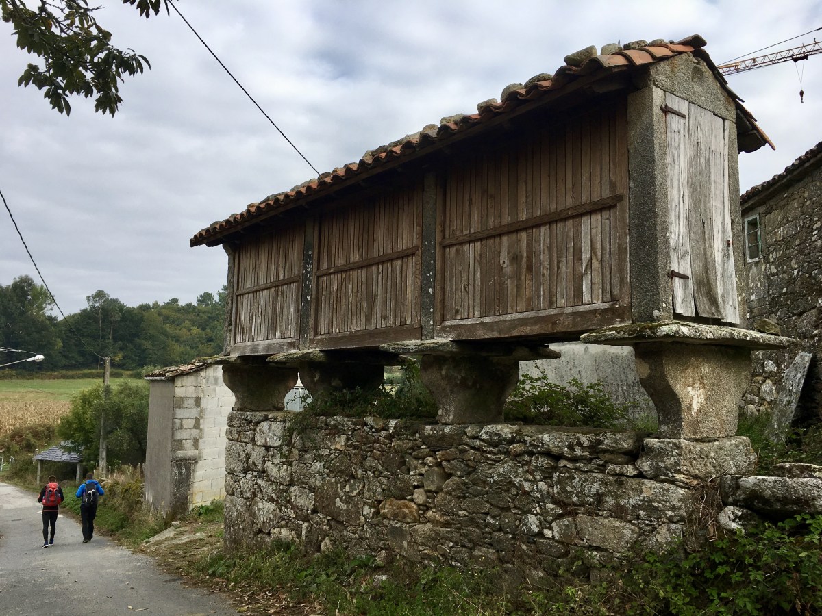 fullsizeoutput_1b230