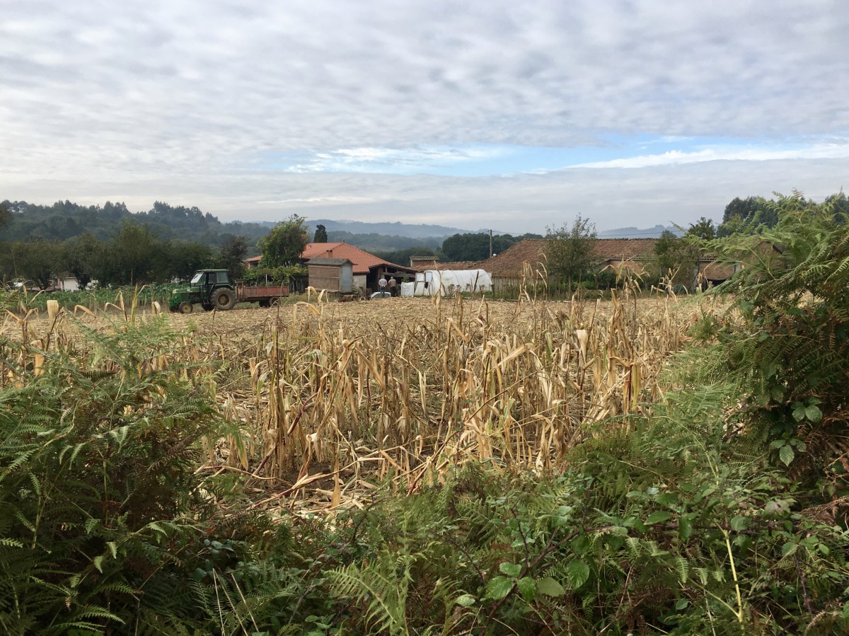 fullsizeoutput_1b237