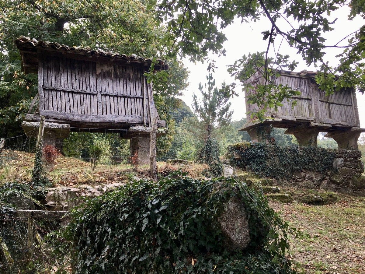 fullsizeoutput_1b23a