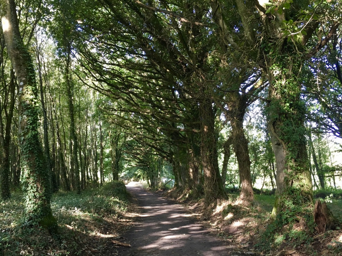 fullsizeoutput_1b247