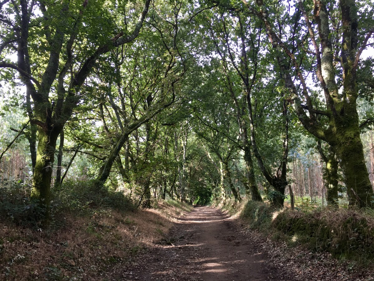 fullsizeoutput_1b249