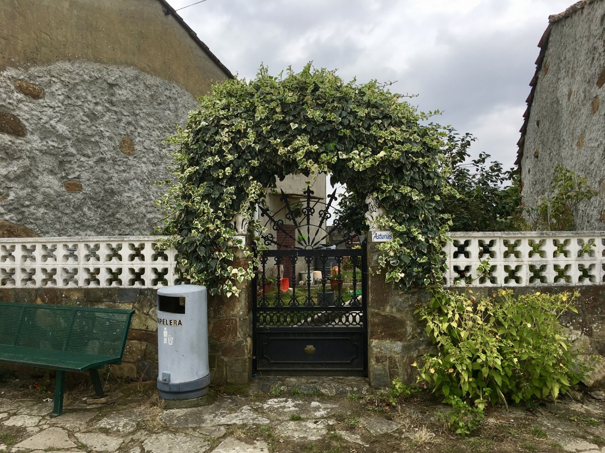 fullsizeoutput_1b24c