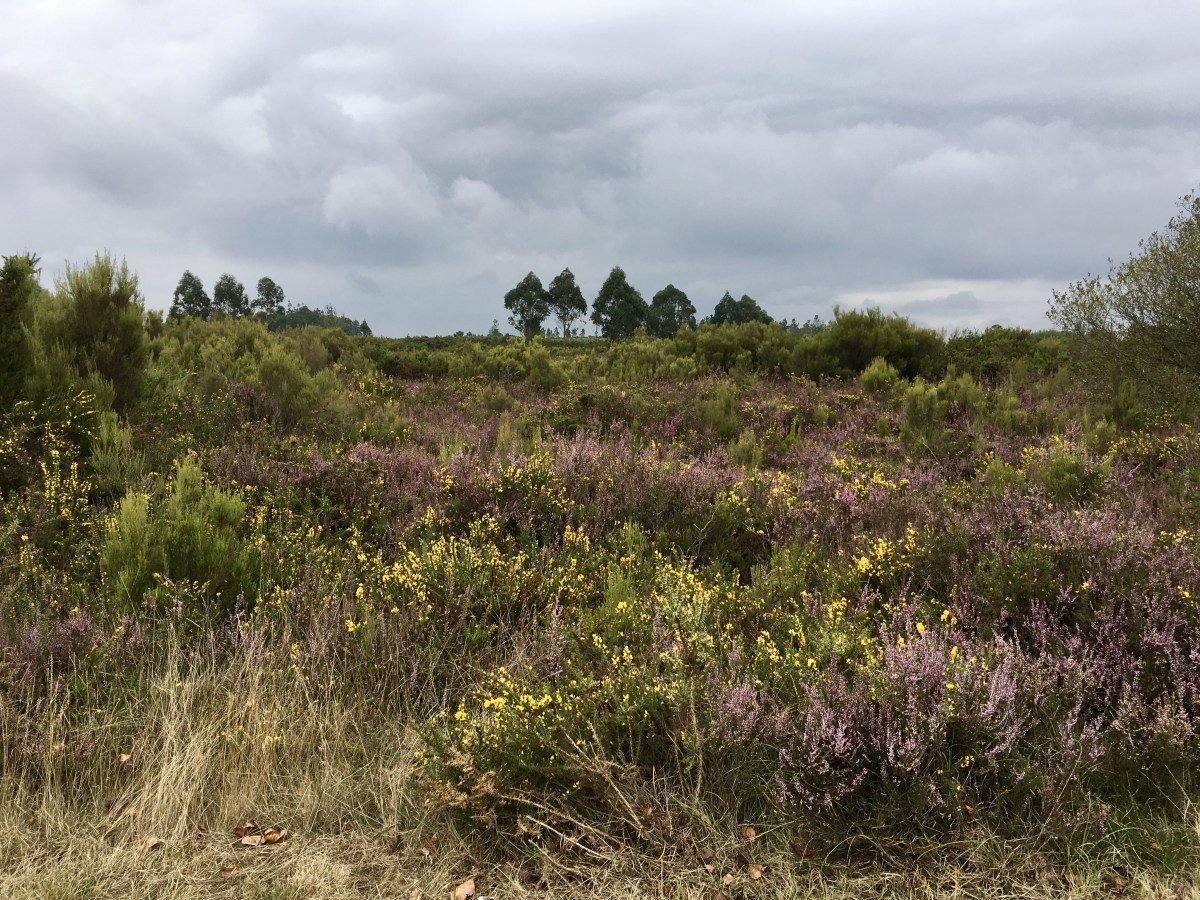 fullsizeoutput_1b252