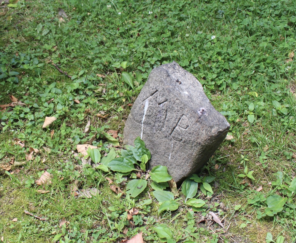 fullsizeoutput_1b2d4