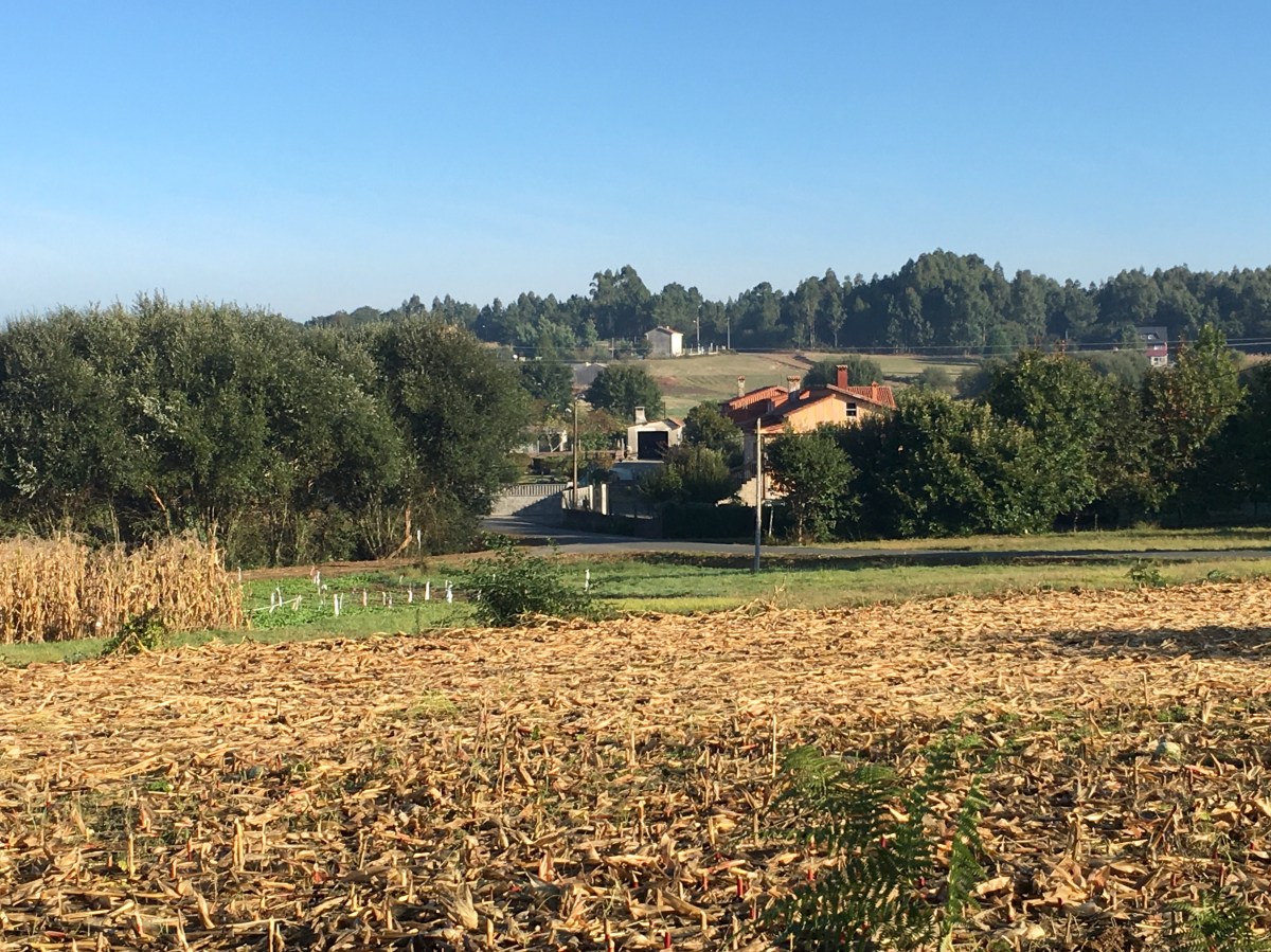 fullsizeoutput_168dc