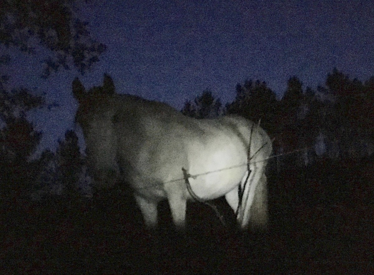 fullsizeoutput_18a5f