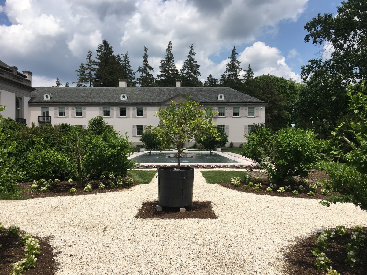 fullsizeoutput_18cff