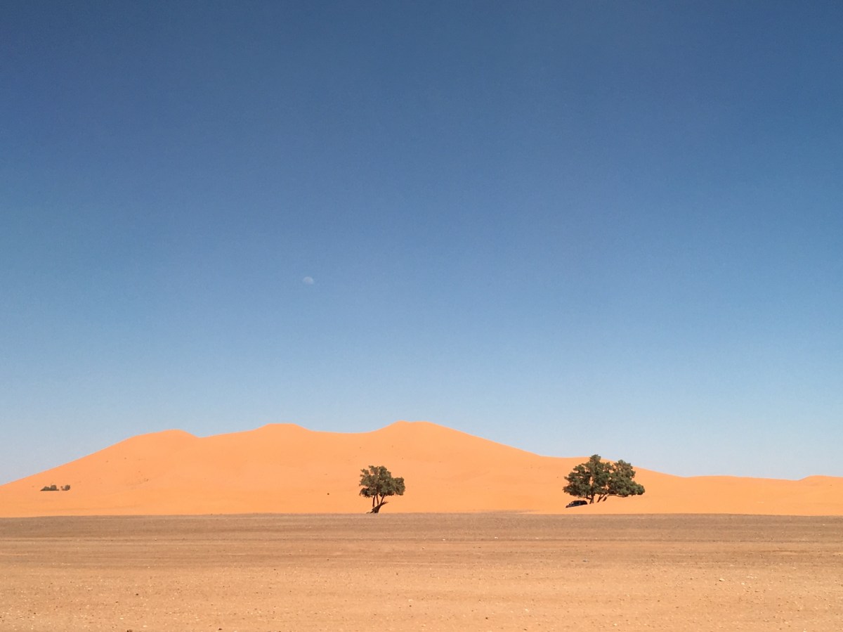 fullsizeoutput_1904e