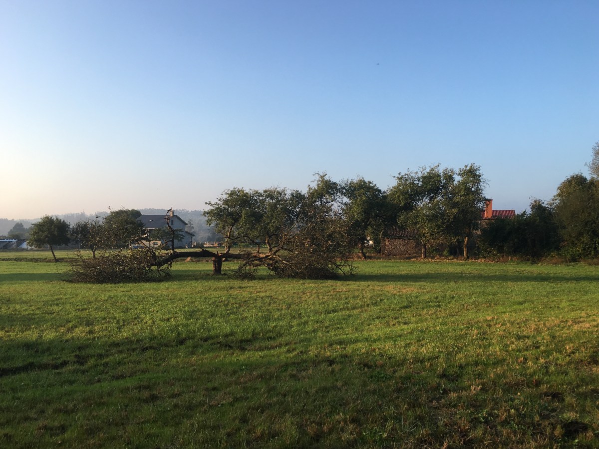 fullsizeoutput_191c5