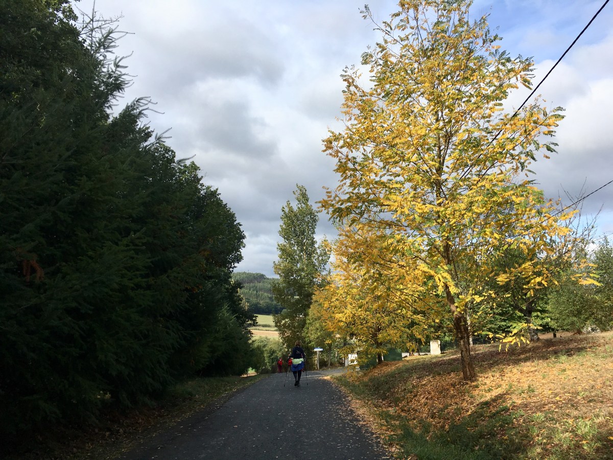 fullsizeoutput_191cf