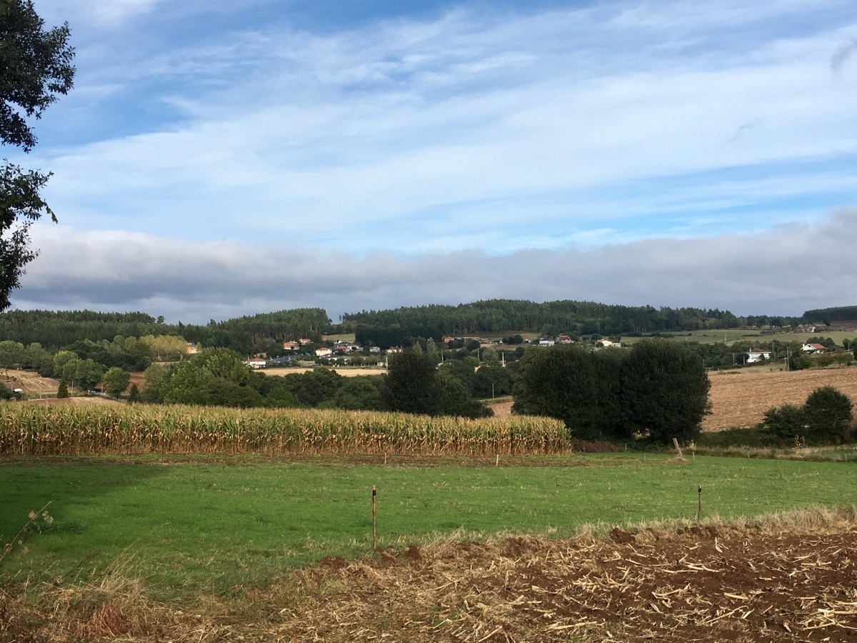 fullsizeoutput_191d4