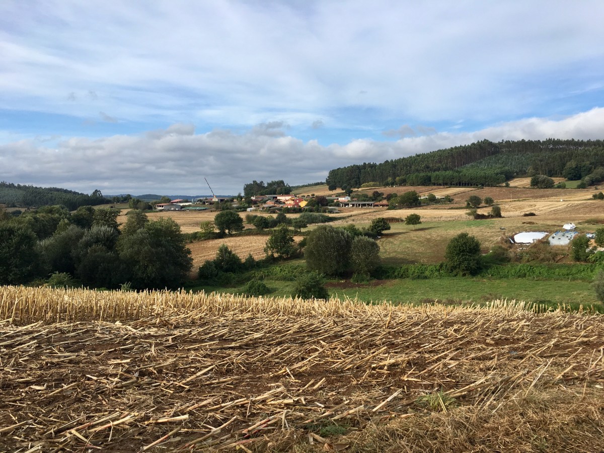 fullsizeoutput_191d7