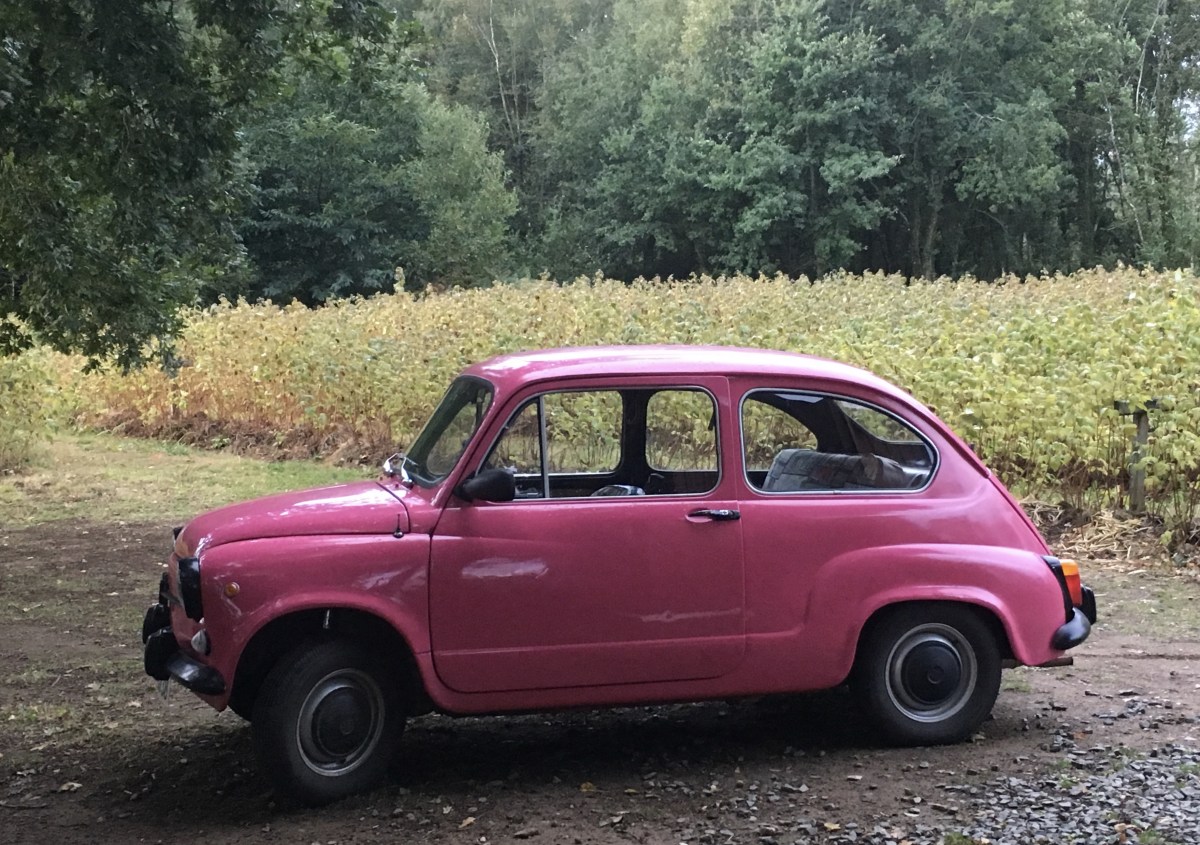 fullsizeoutput_1b36d