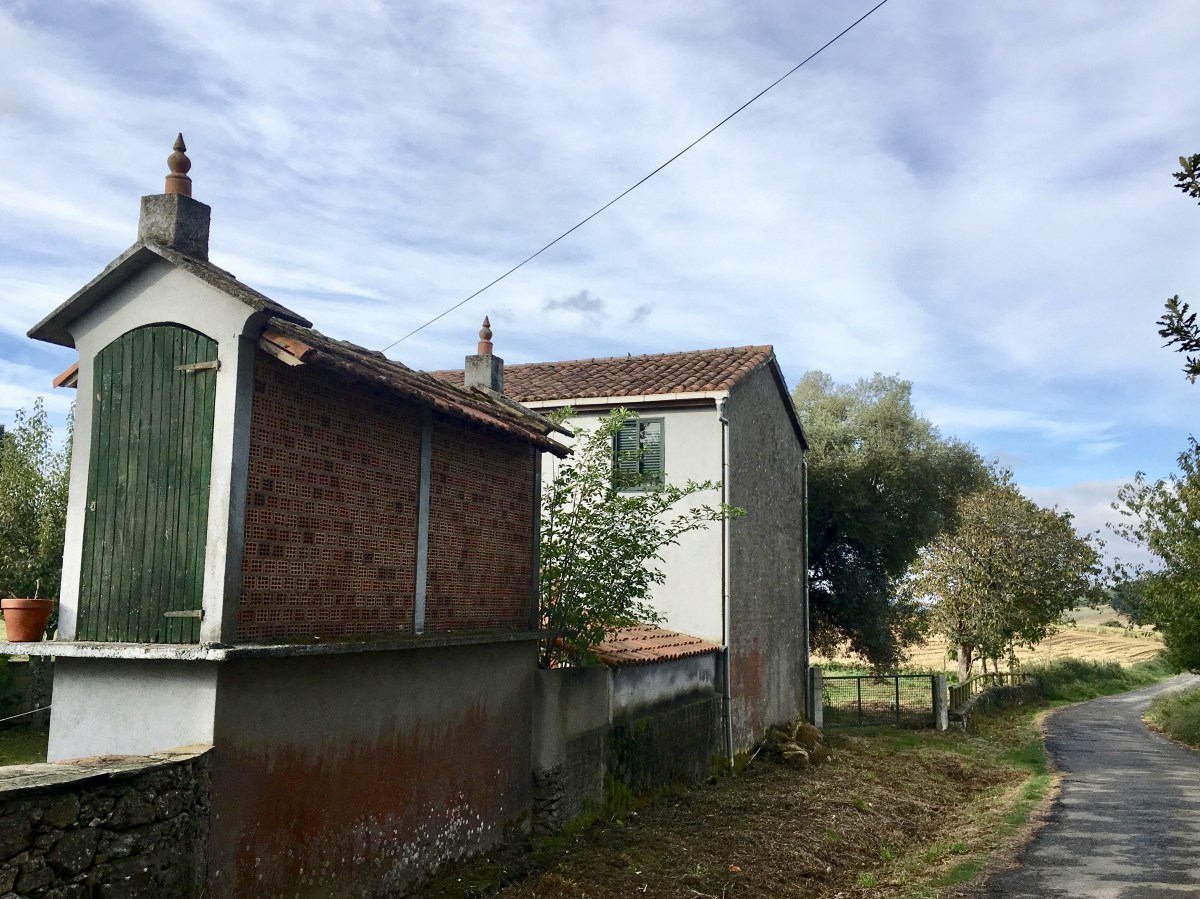 fullsizeoutput_1b38c