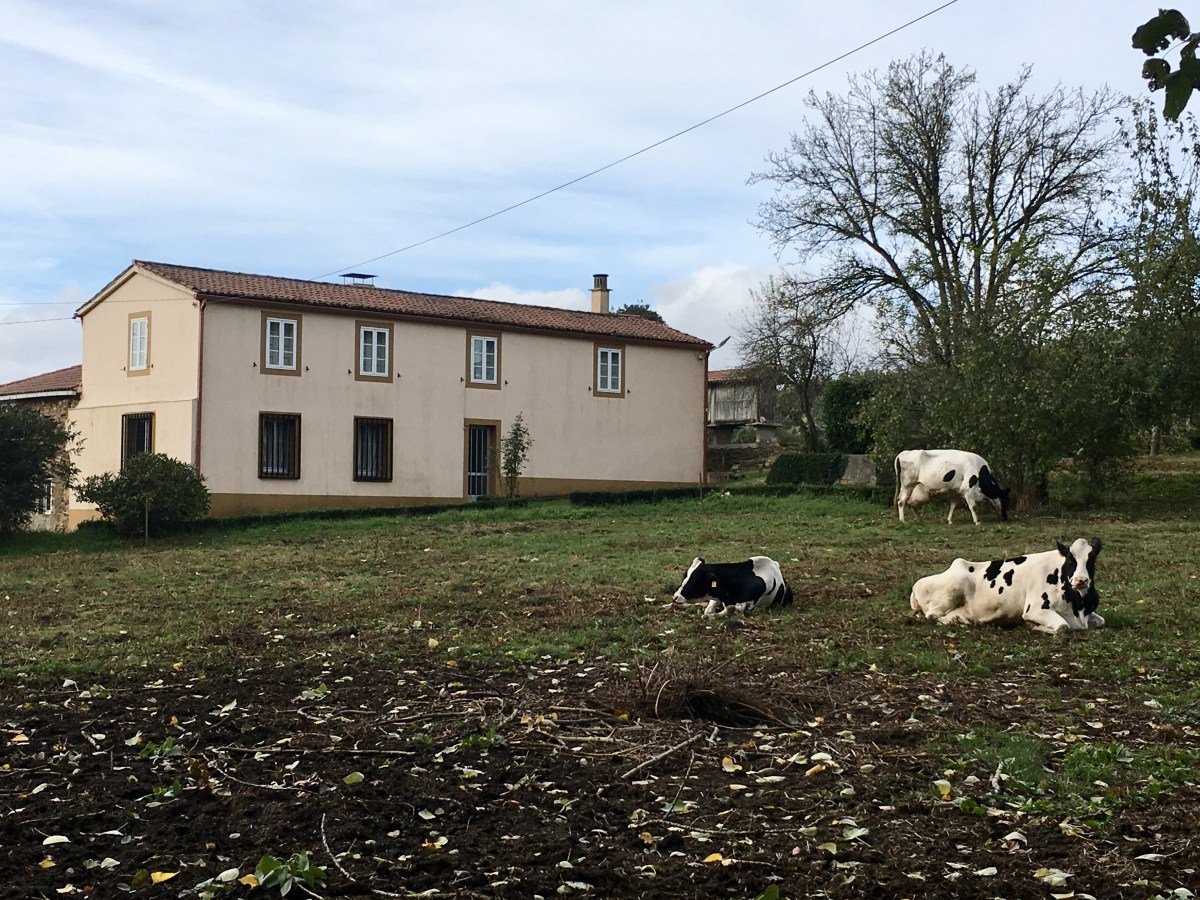 fullsizeoutput_1b391