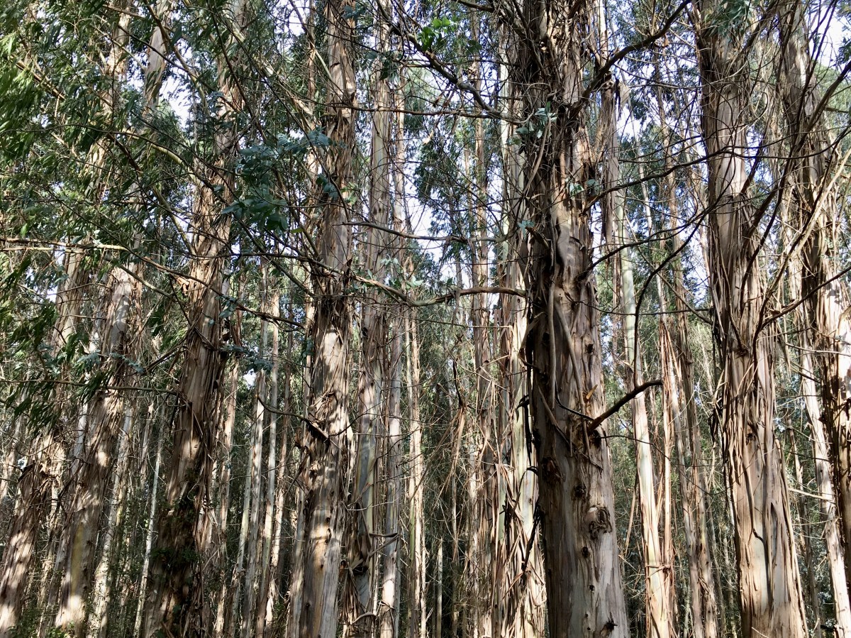 fullsizeoutput_1b399