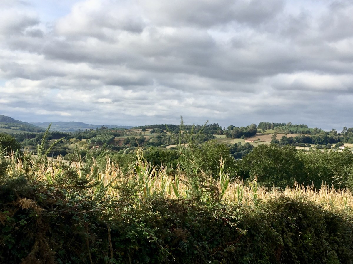 fullsizeoutput_1b39b