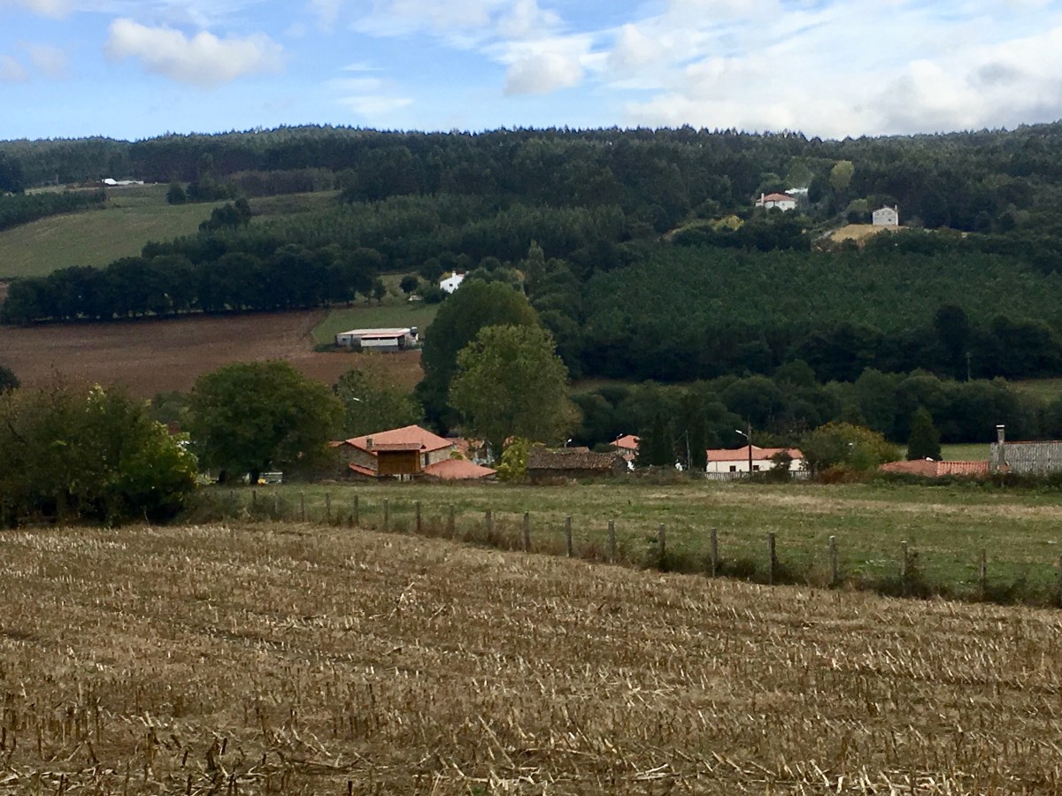 fullsizeoutput_1b39f